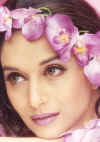 madhuri1_filmfare.jpg (17175 bytes)